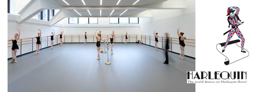 Harlequin STUDIO